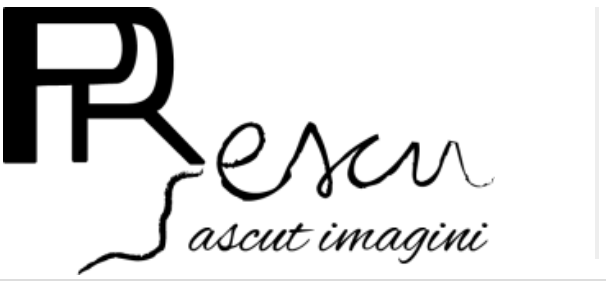 Termeni şi condiţii